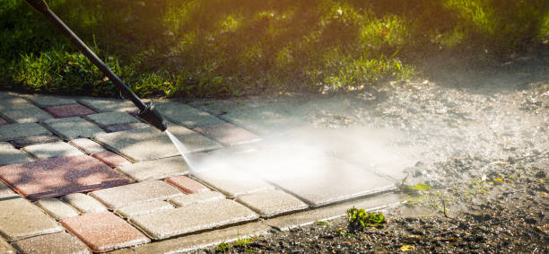 Trusted Williams, CA Pressure Washing Experts